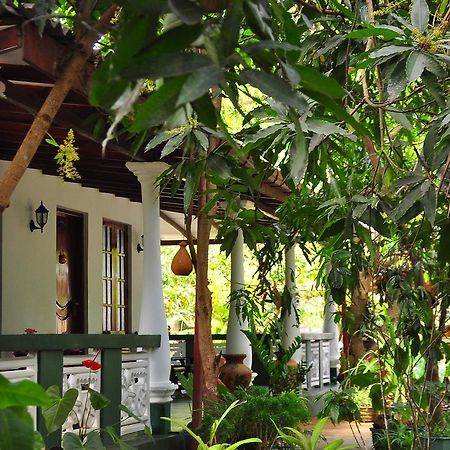 Sigiri Rock Side Home Stay Sigiriya Exteriör bild