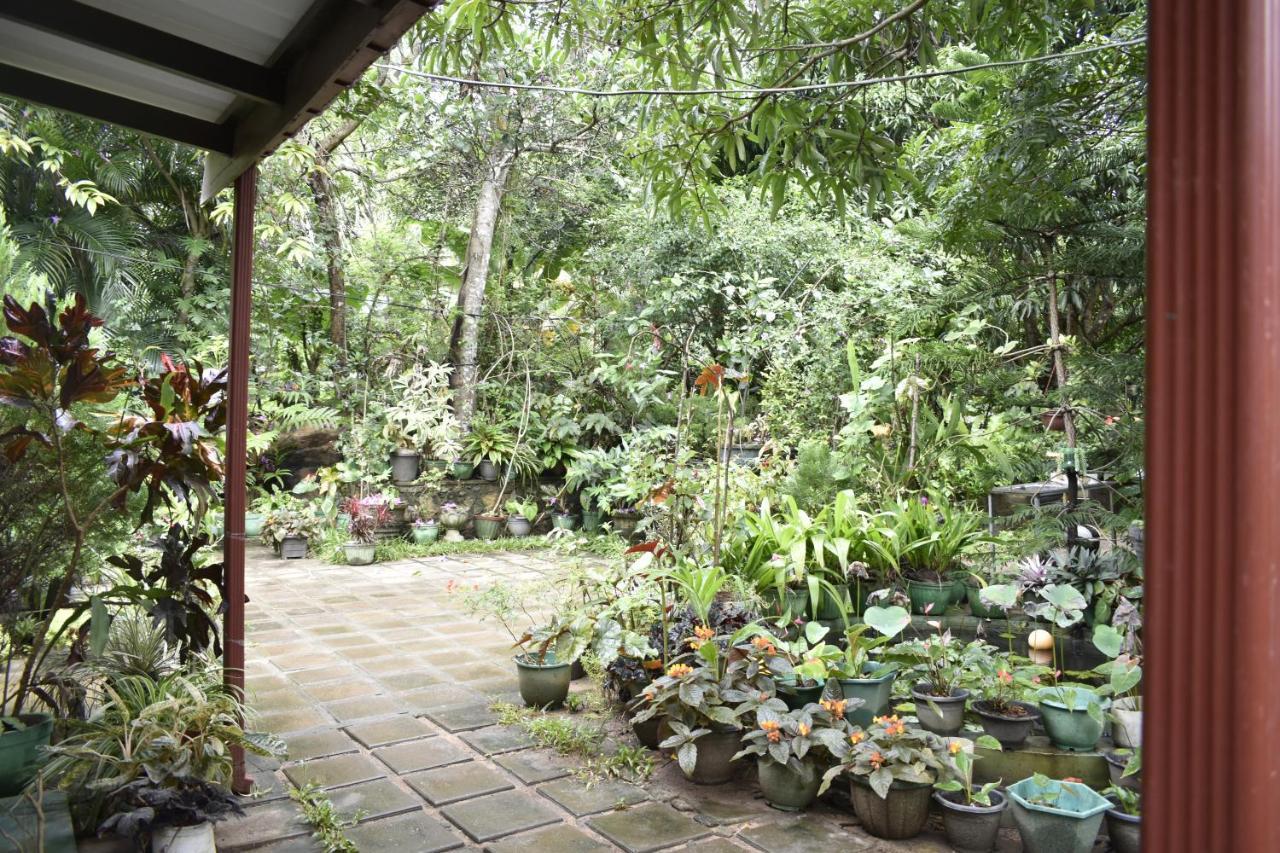 Sigiri Rock Side Home Stay Sigiriya Exteriör bild