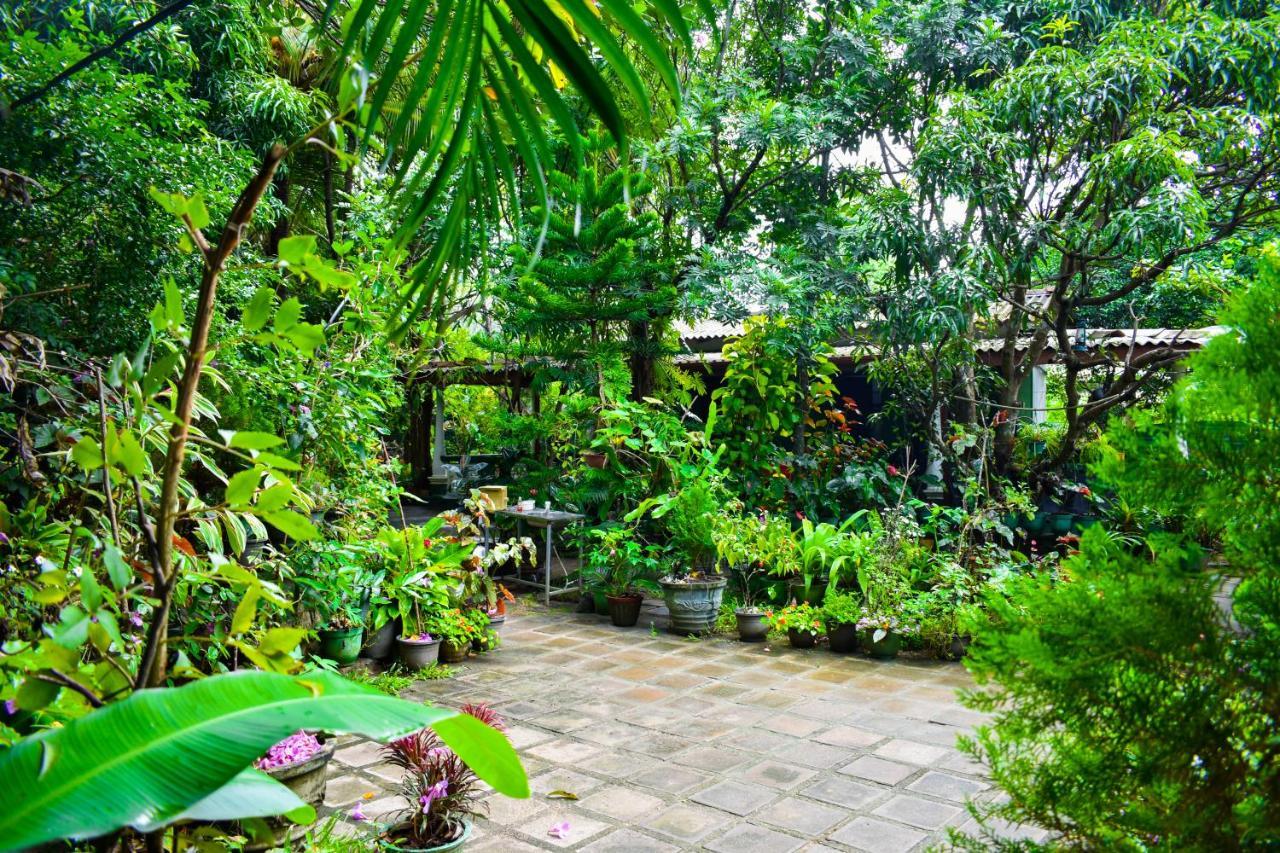 Sigiri Rock Side Home Stay Sigiriya Exteriör bild