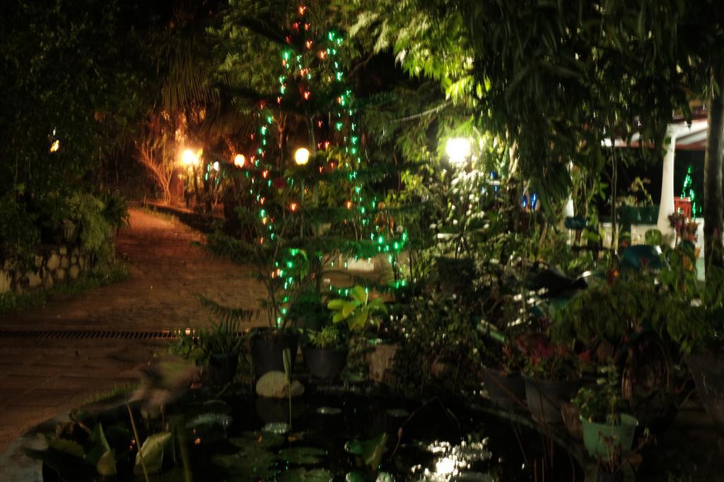 Sigiri Rock Side Home Stay Sigiriya Exteriör bild