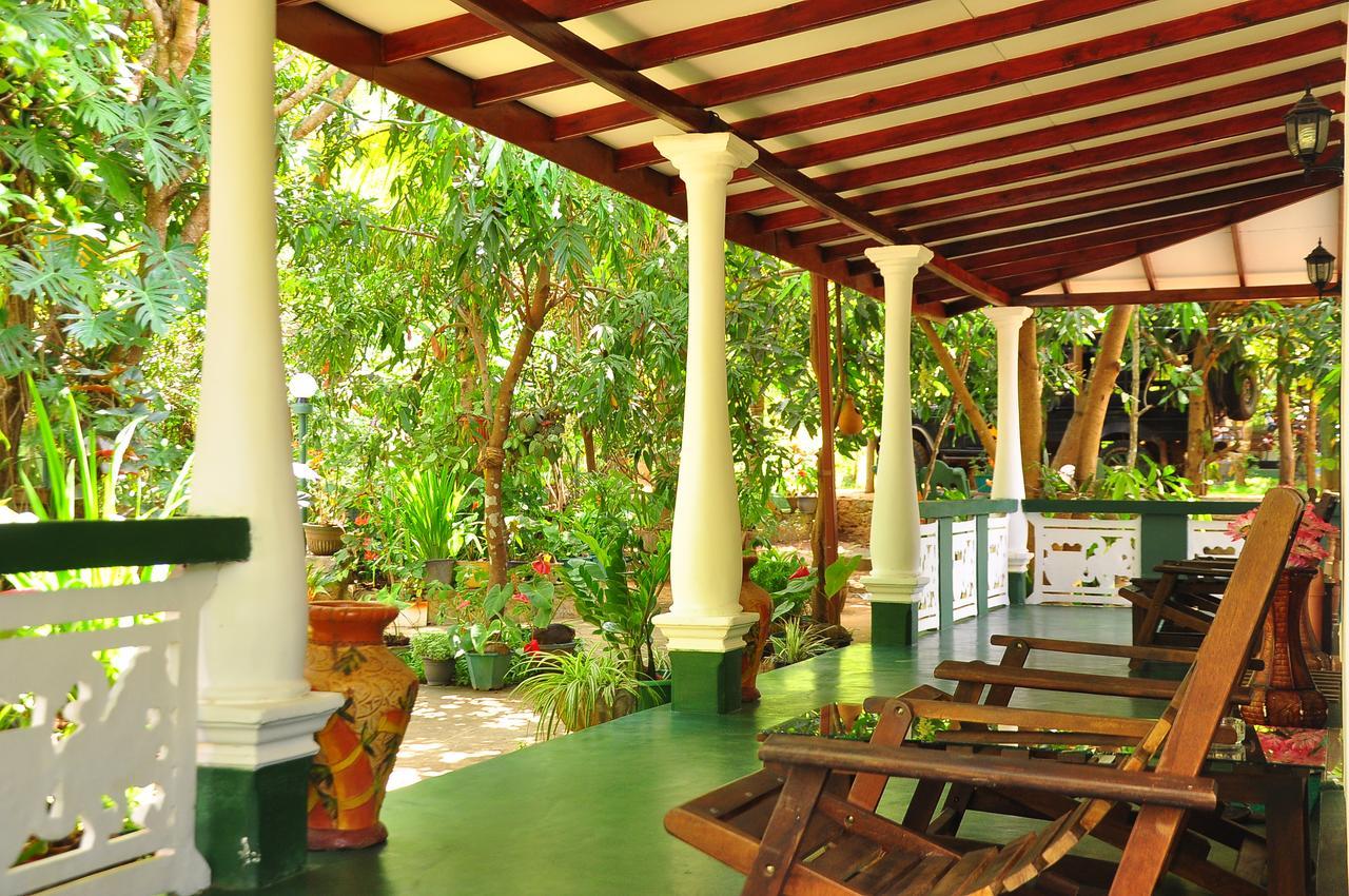 Sigiri Rock Side Home Stay Sigiriya Exteriör bild