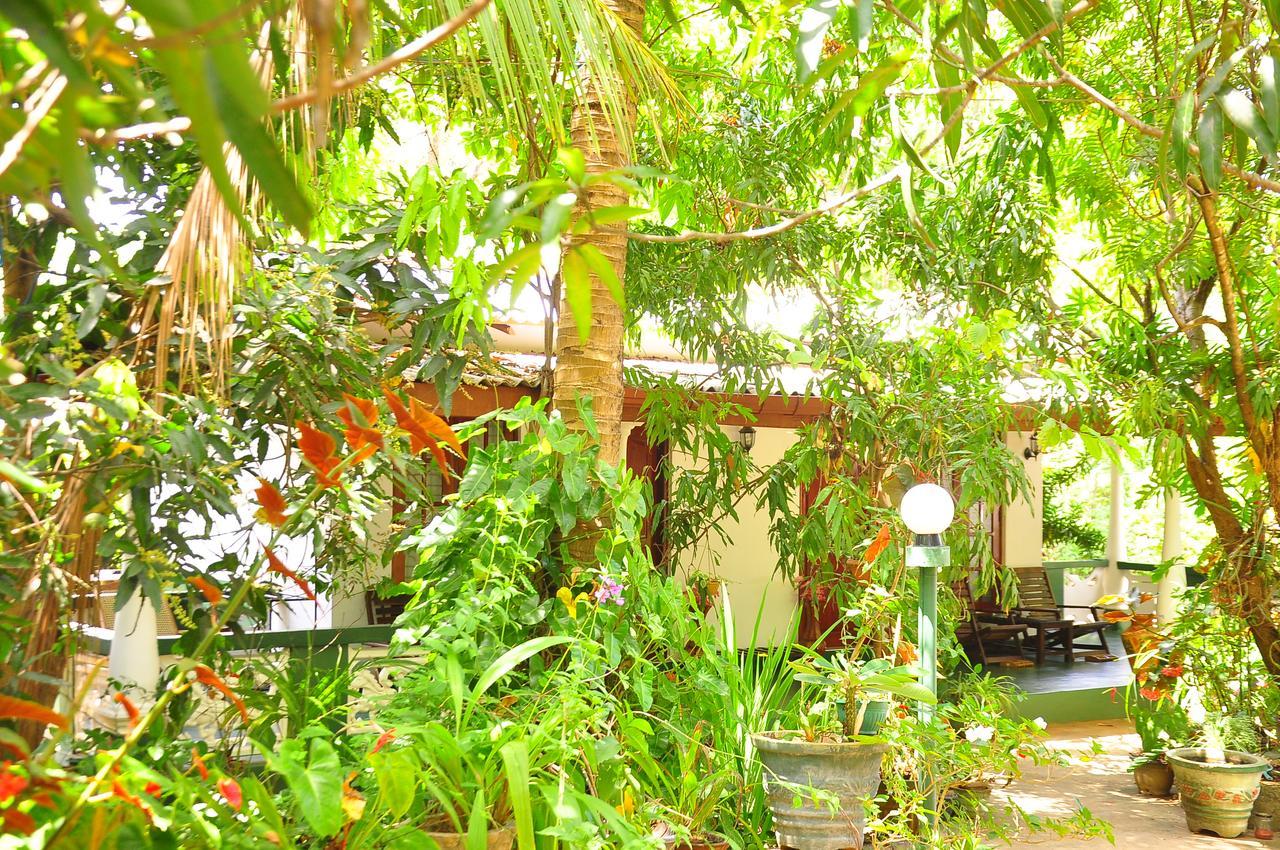 Sigiri Rock Side Home Stay Sigiriya Exteriör bild