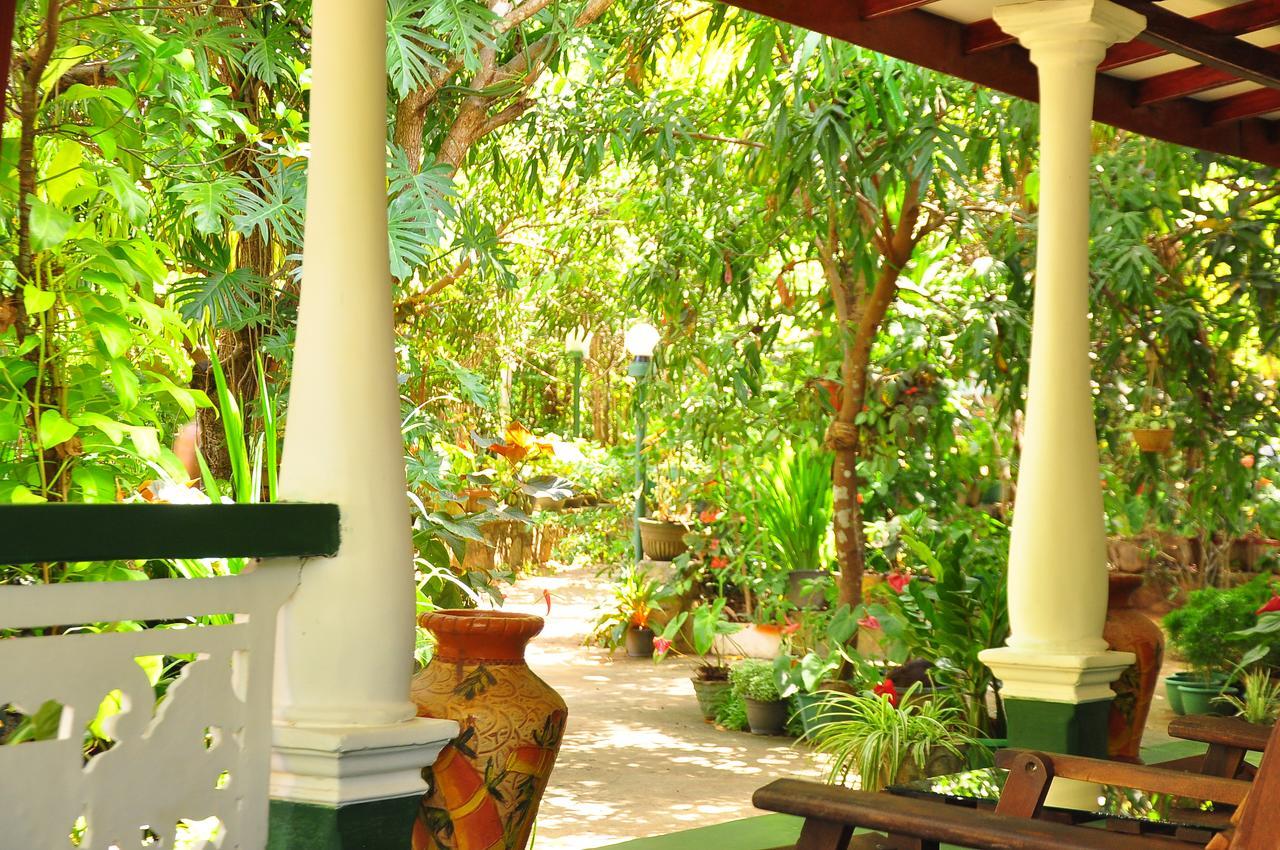 Sigiri Rock Side Home Stay Sigiriya Exteriör bild
