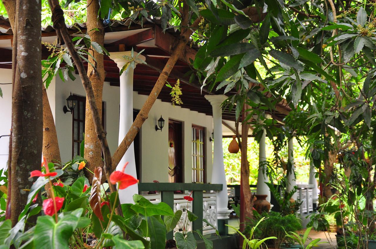 Sigiri Rock Side Home Stay Sigiriya Exteriör bild
