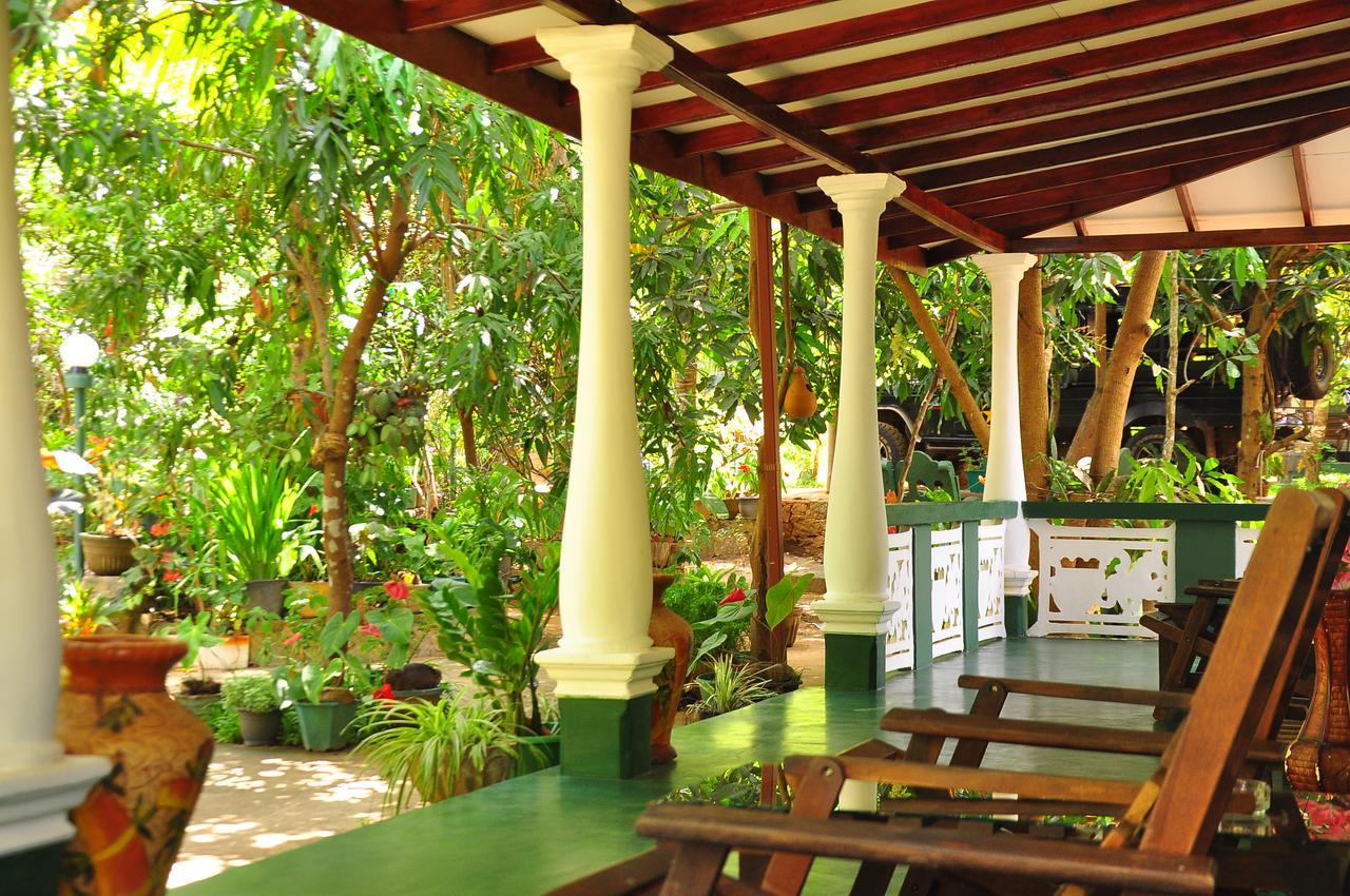 Sigiri Rock Side Home Stay Sigiriya Exteriör bild