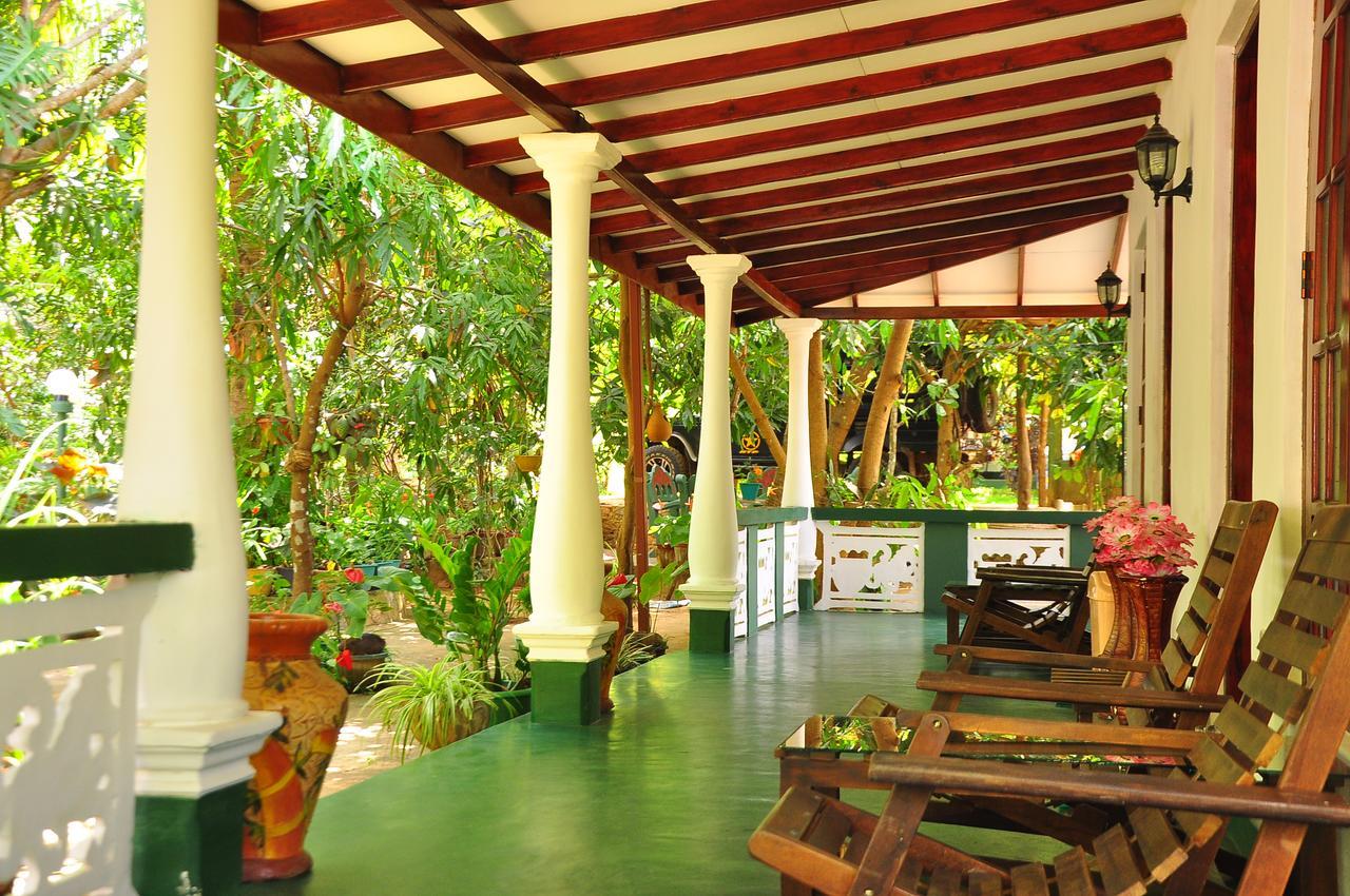 Sigiri Rock Side Home Stay Sigiriya Exteriör bild