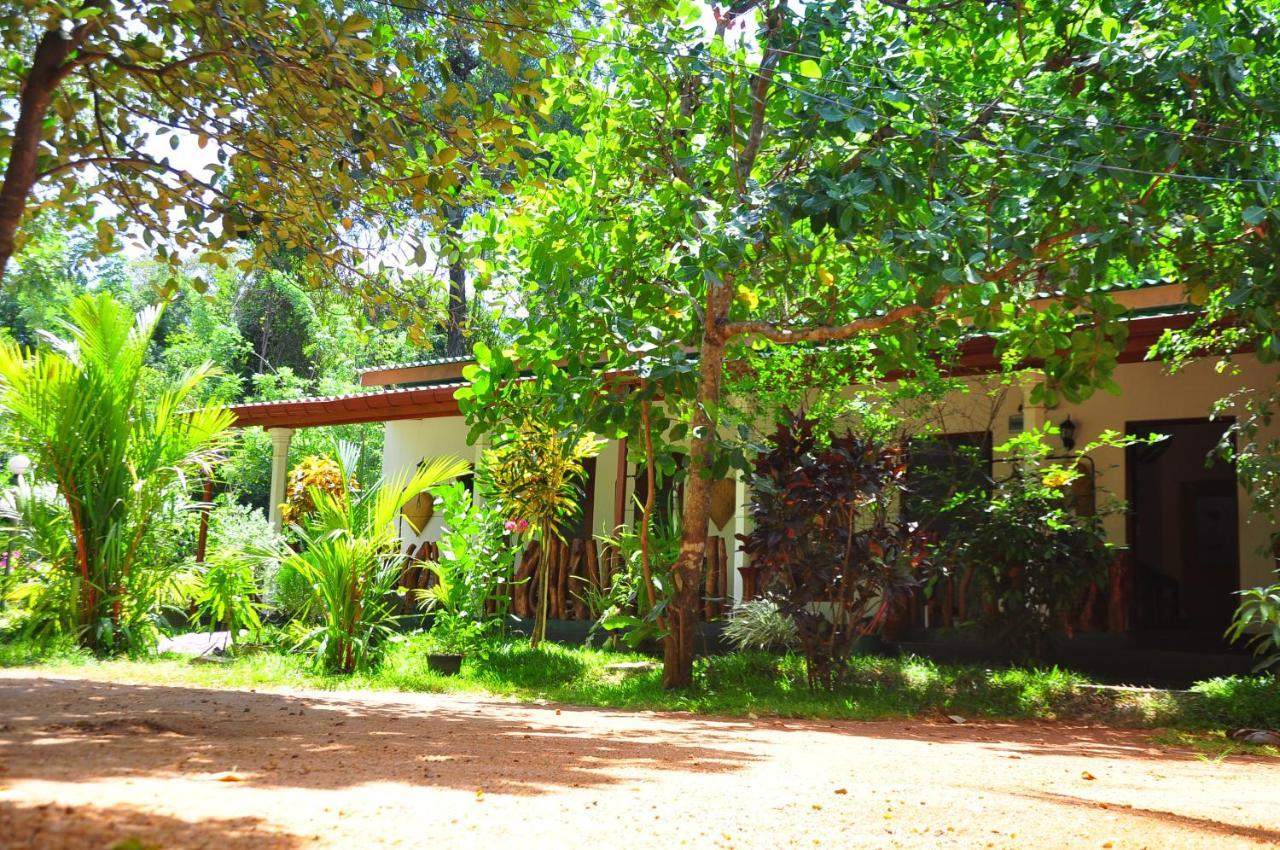 Sigiri Rock Side Home Stay Sigiriya Exteriör bild
