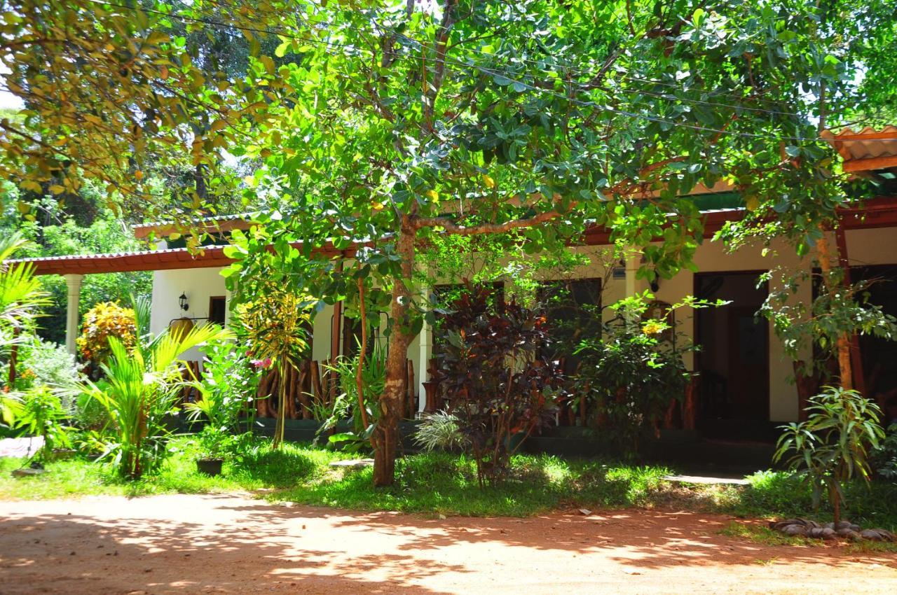 Sigiri Rock Side Home Stay Sigiriya Exteriör bild