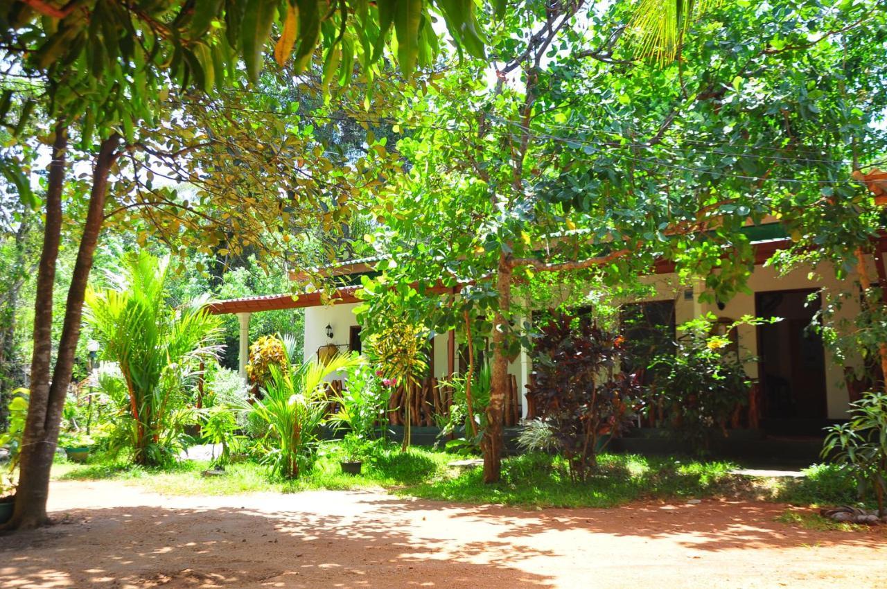 Sigiri Rock Side Home Stay Sigiriya Exteriör bild