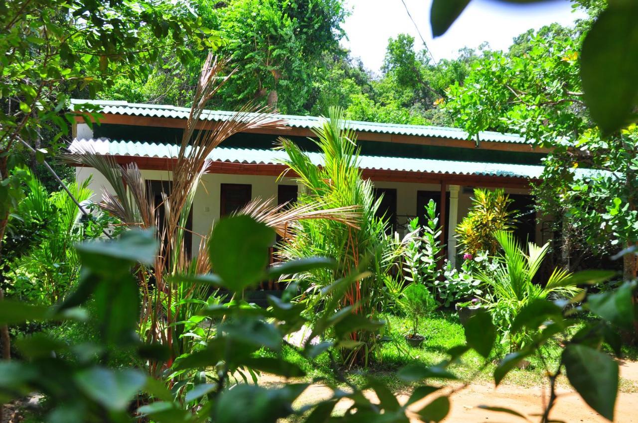 Sigiri Rock Side Home Stay Sigiriya Exteriör bild