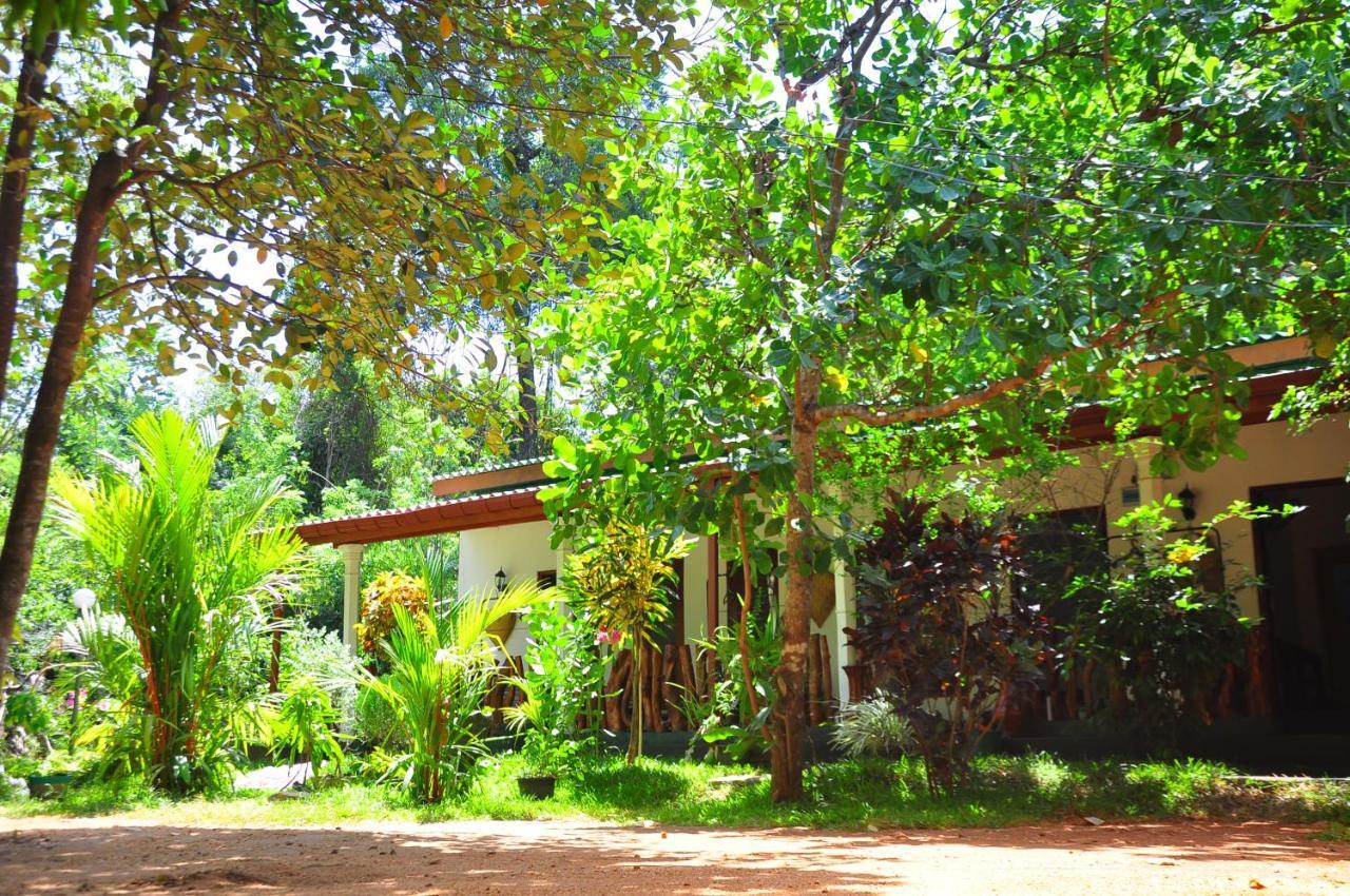 Sigiri Rock Side Home Stay Sigiriya Exteriör bild