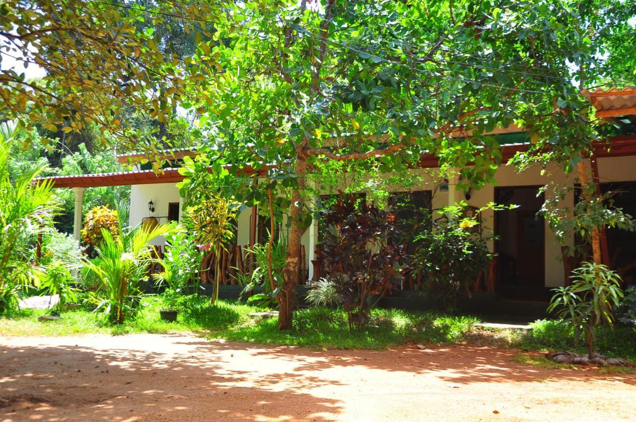 Sigiri Rock Side Home Stay Sigiriya Exteriör bild